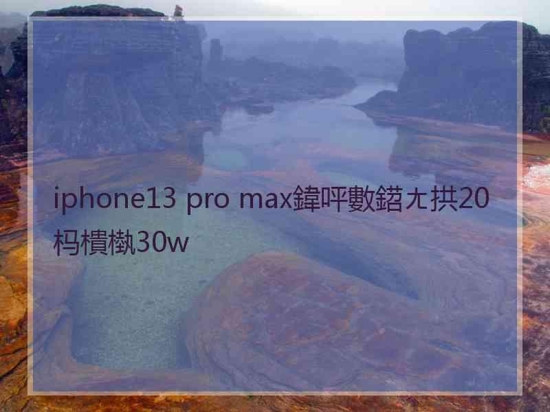 iphone13 pro max鍏呯數鍣ㄤ拱20杩樻槸30w