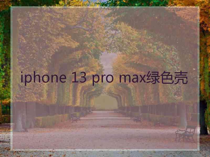 iphone 13 pro max绿色壳