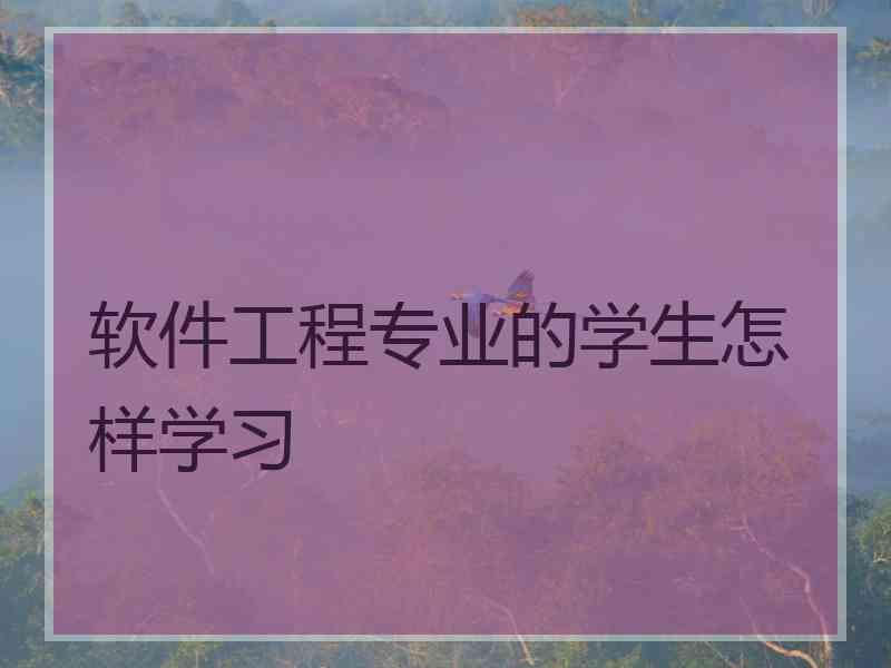 软件工程专业的学生怎样学习