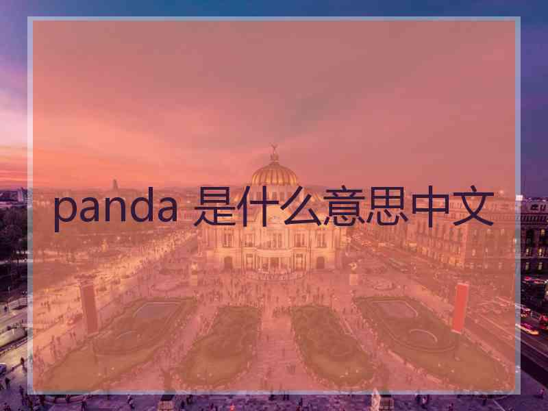 panda 是什么意思中文