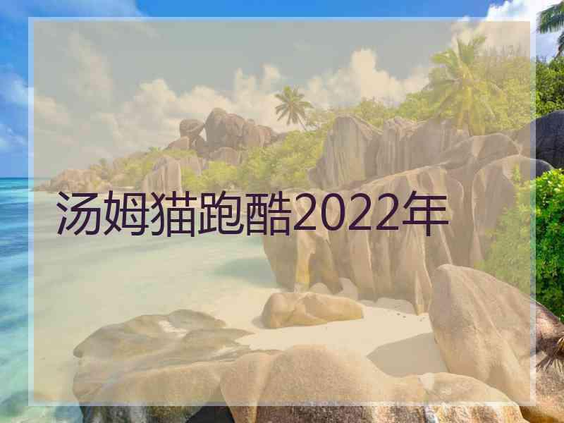 汤姆猫跑酷2022年