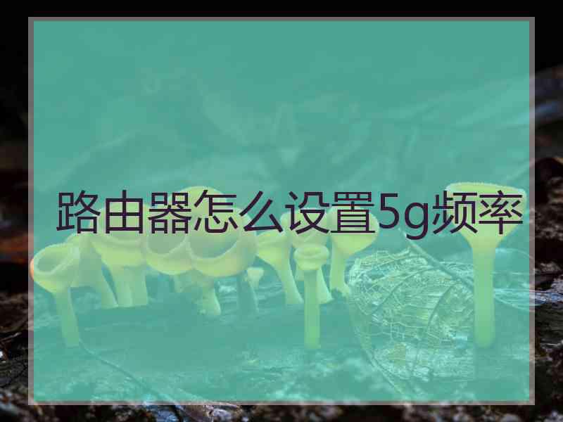 路由器怎么设置5g频率