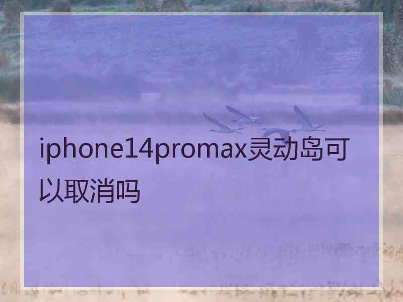 iphone14promax灵动岛可以取消吗