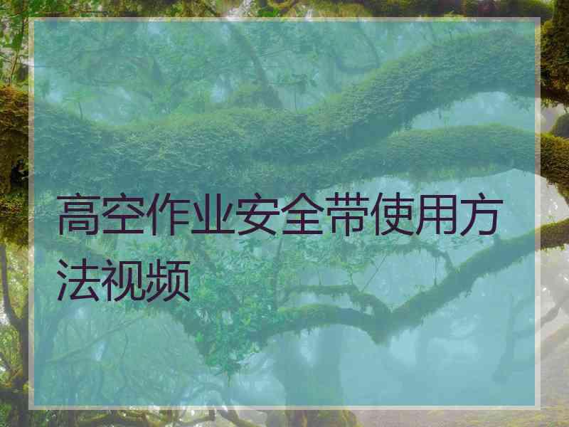 高空作业安全带使用方法视频