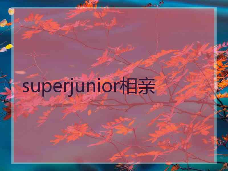 superjunior相亲