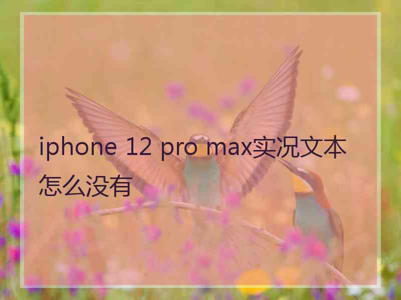 iphone 12 pro max实况文本怎么没有