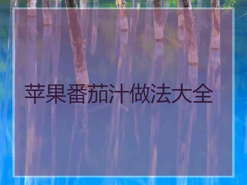 苹果番茄汁做法大全