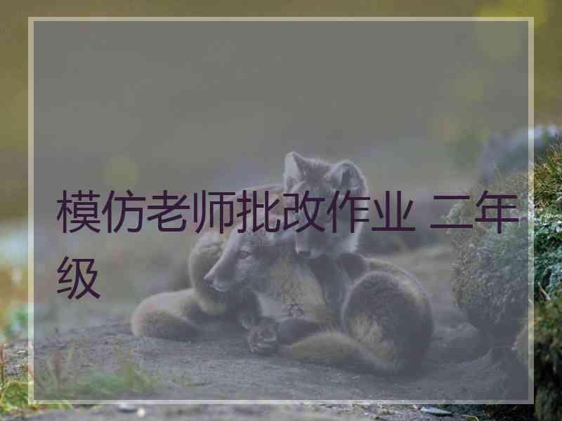 模仿老师批改作业 二年级