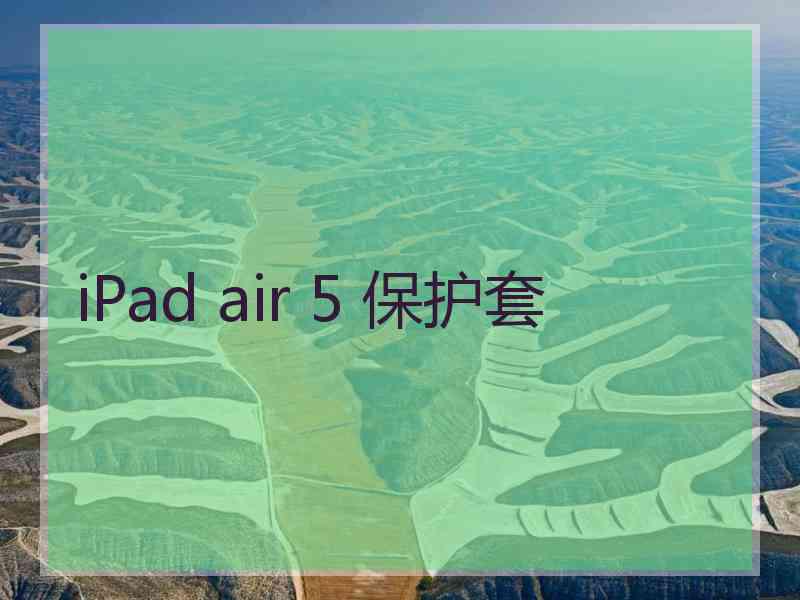 iPad air 5 保护套