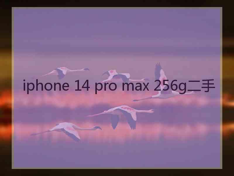 iphone 14 pro max 256g二手