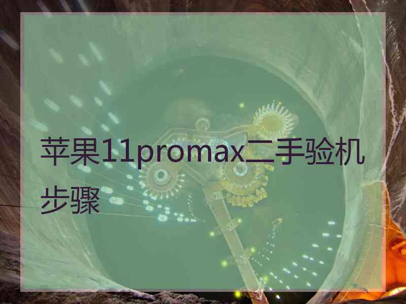 苹果11promax二手验机步骤