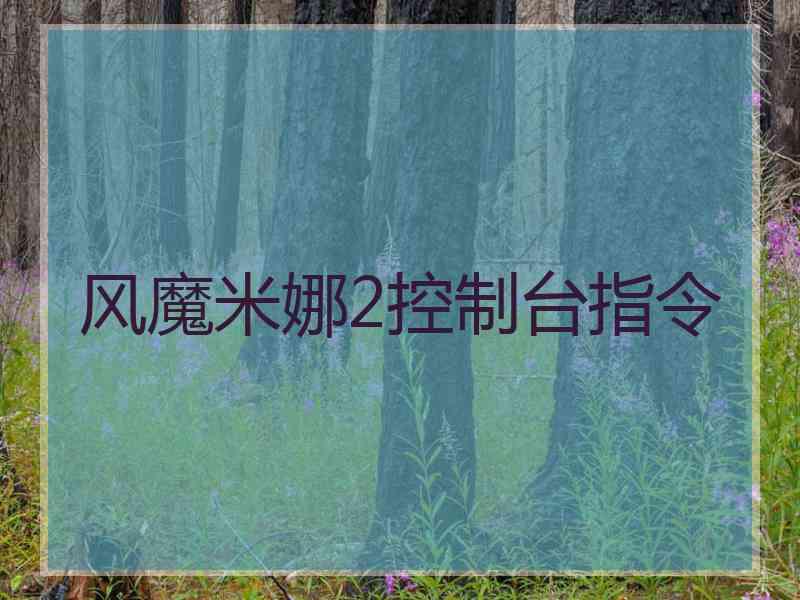 风魔米娜2控制台指令