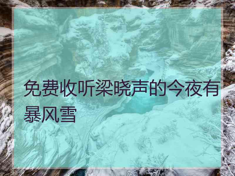 免费收听梁晓声的今夜有暴风雪