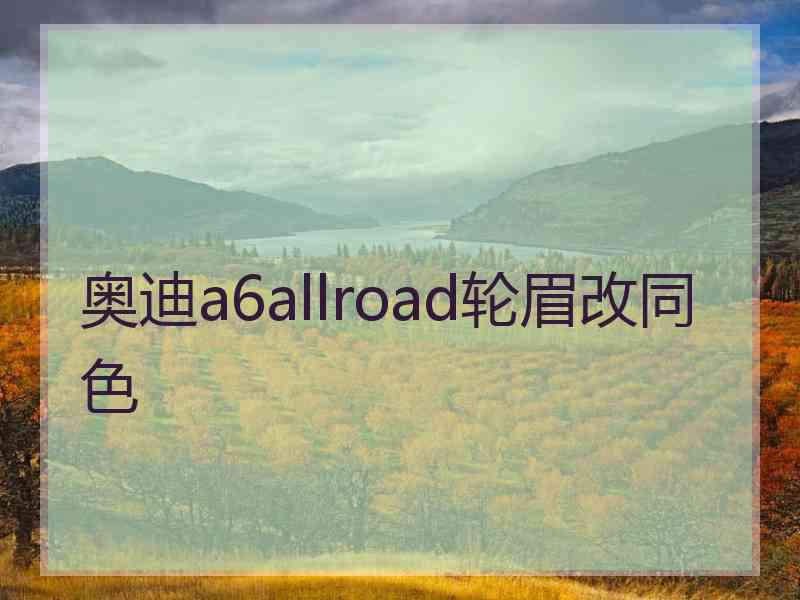 奥迪a6allroad轮眉改同色