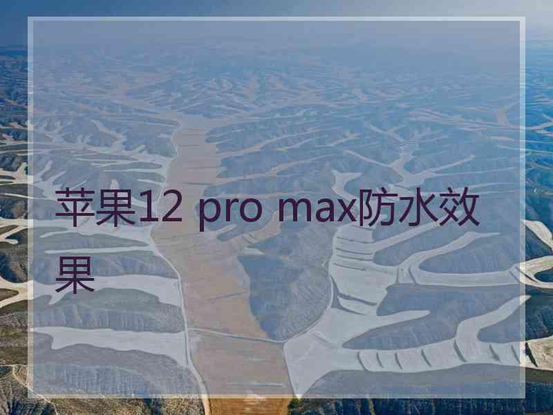 苹果12 pro max防水效果