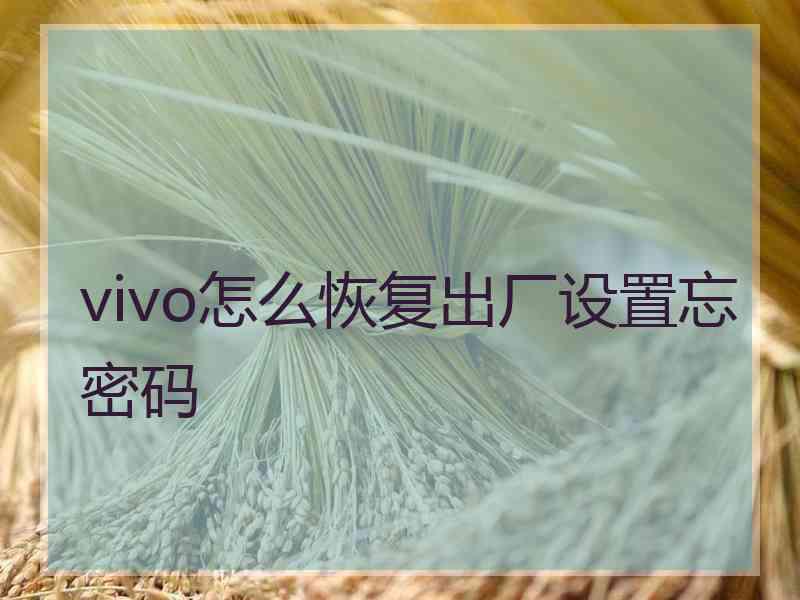 vivo怎么恢复出厂设置忘密码