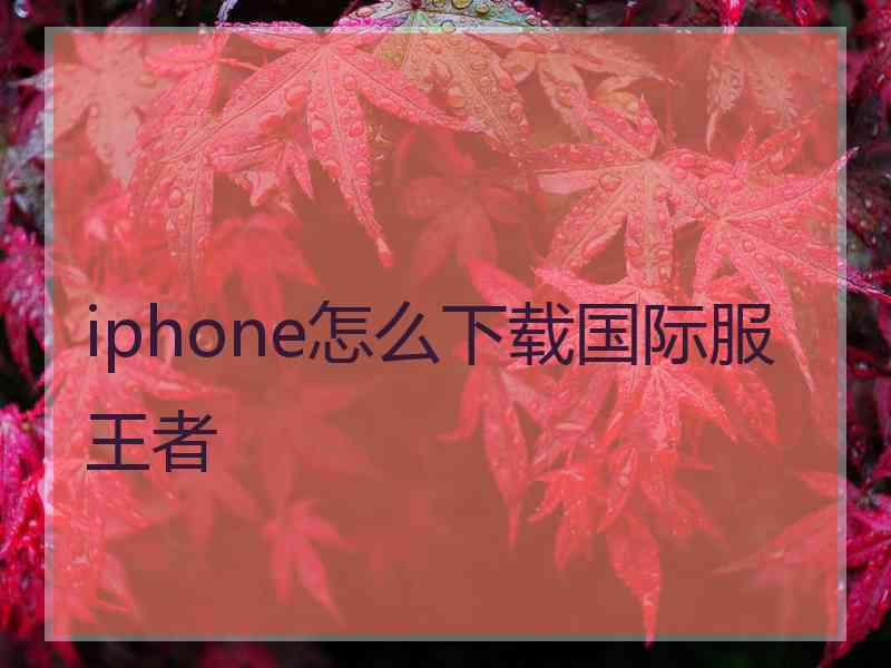 iphone怎么下载国际服王者