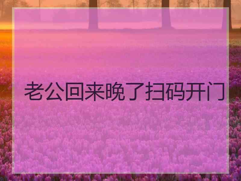 老公回来晚了扫码开门