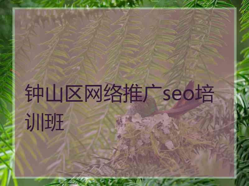 钟山区网络推广seo培训班