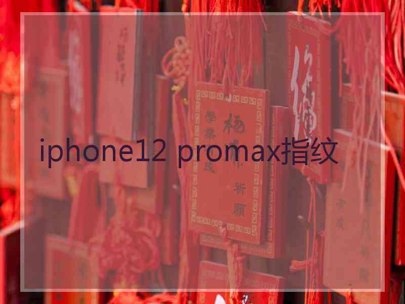 iphone12 promax指纹