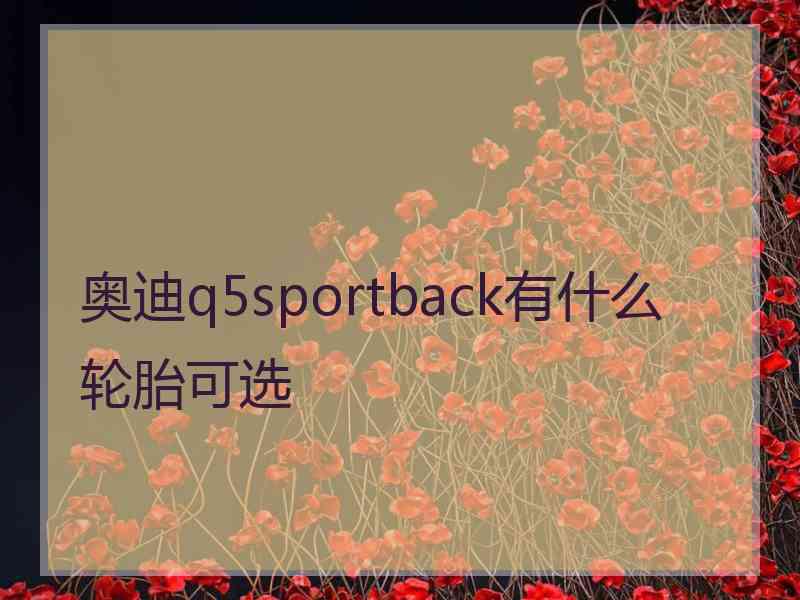 奥迪q5sportback有什么轮胎可选