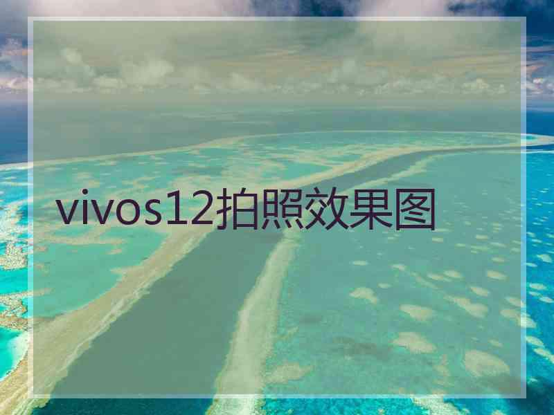 vivos12拍照效果图