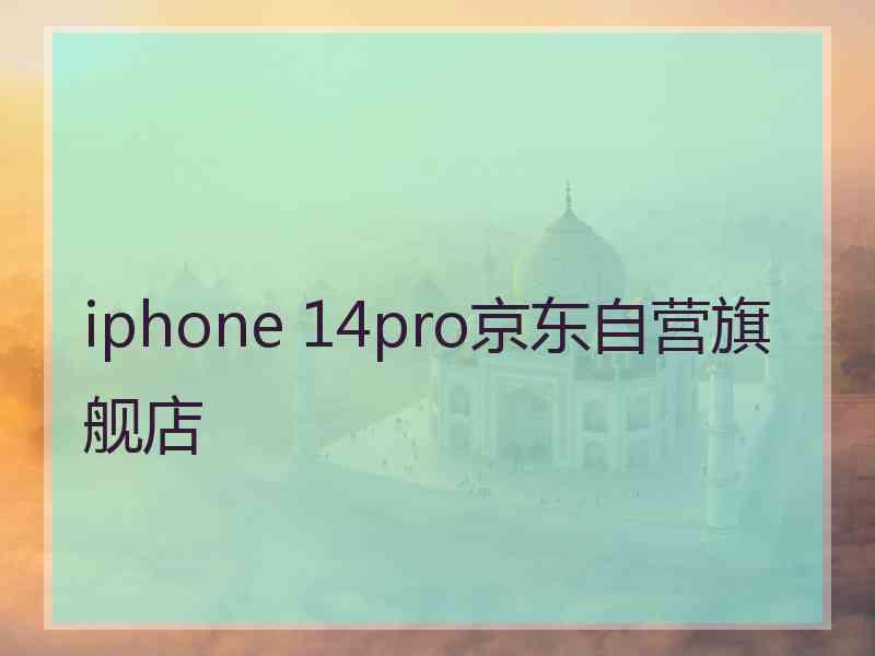 iphone 14pro京东自营旗舰店