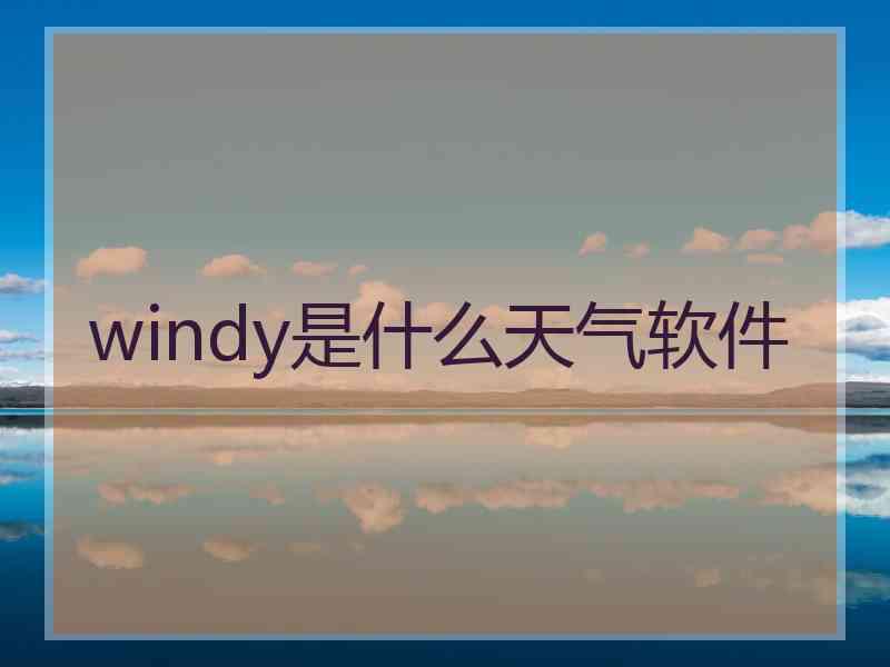 windy是什么天气软件