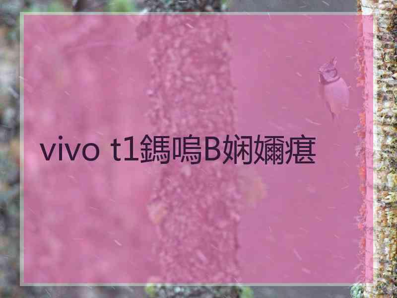 vivo t1鎷嗚В娴嬭瘎