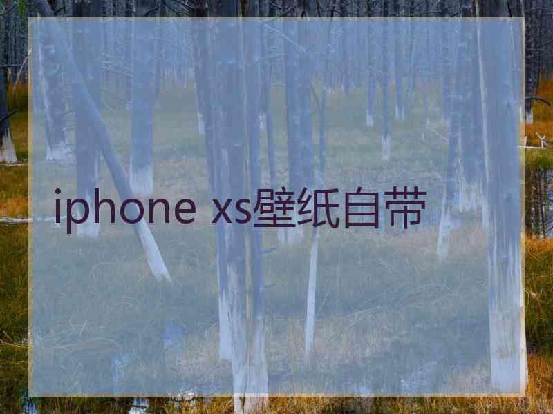 iphone xs壁纸自带