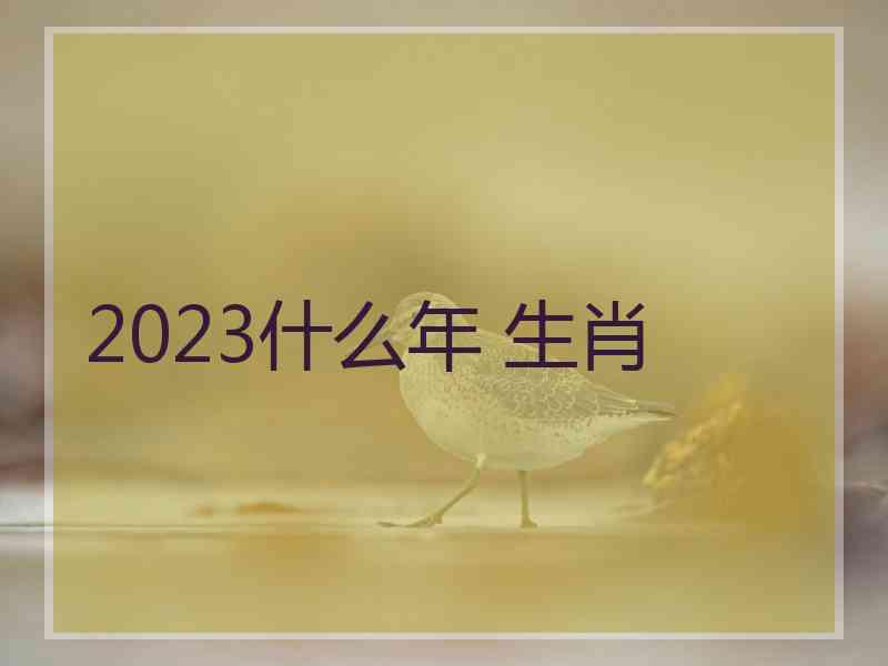 2023什么年 生肖