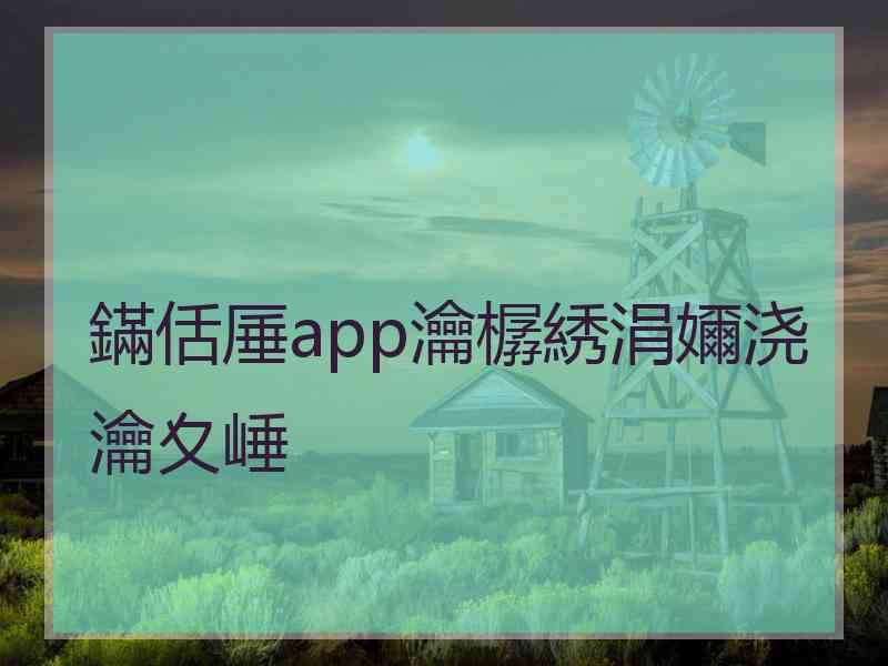 鏋佸厜app瀹樼綉涓嬭浇瀹夊崜