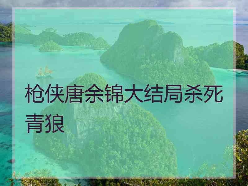 枪侠唐余锦大结局杀死青狼