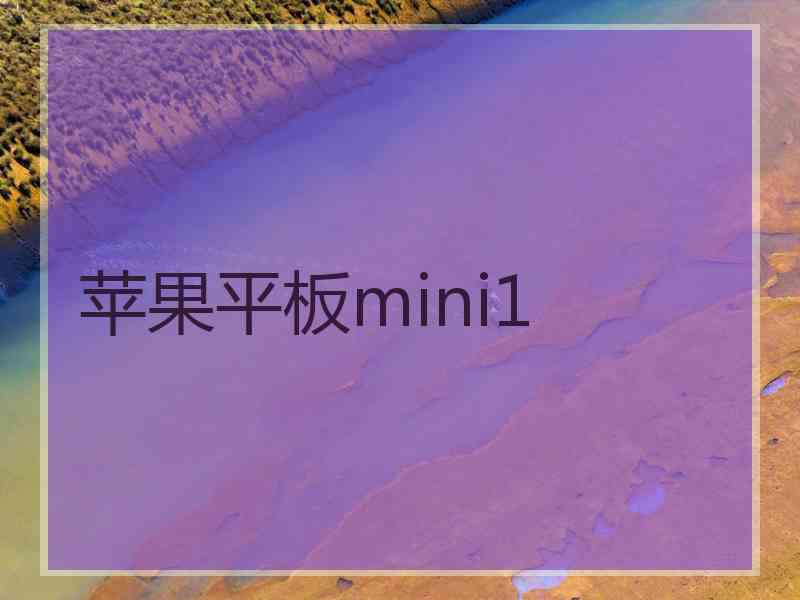 苹果平板mini1