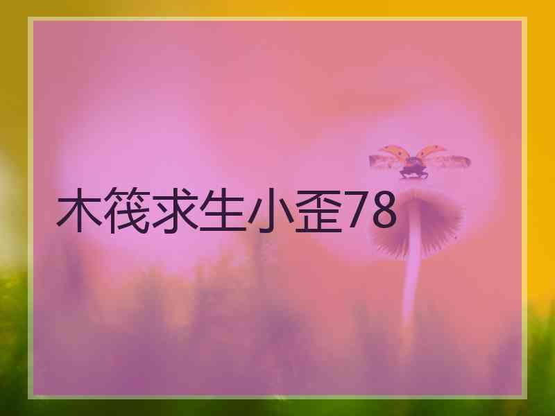 木筏求生小歪78