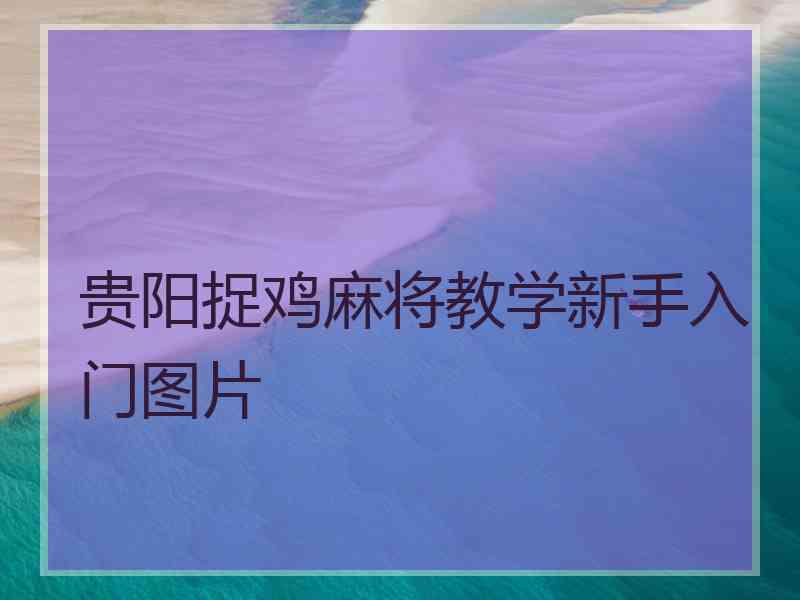 贵阳捉鸡麻将教学新手入门图片