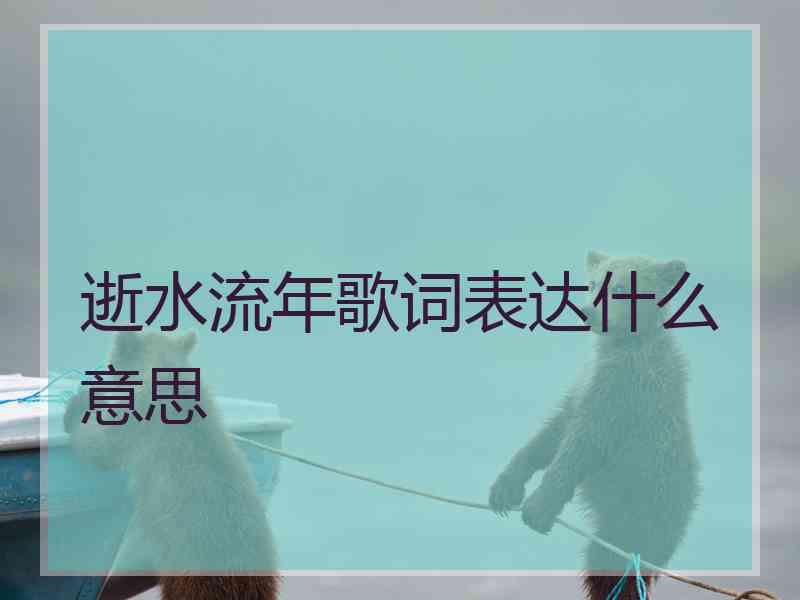 逝水流年歌词表达什么意思