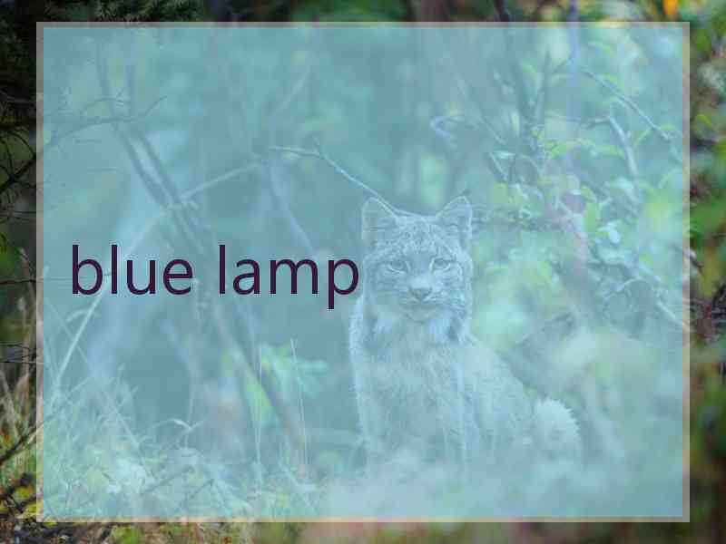 blue lamp