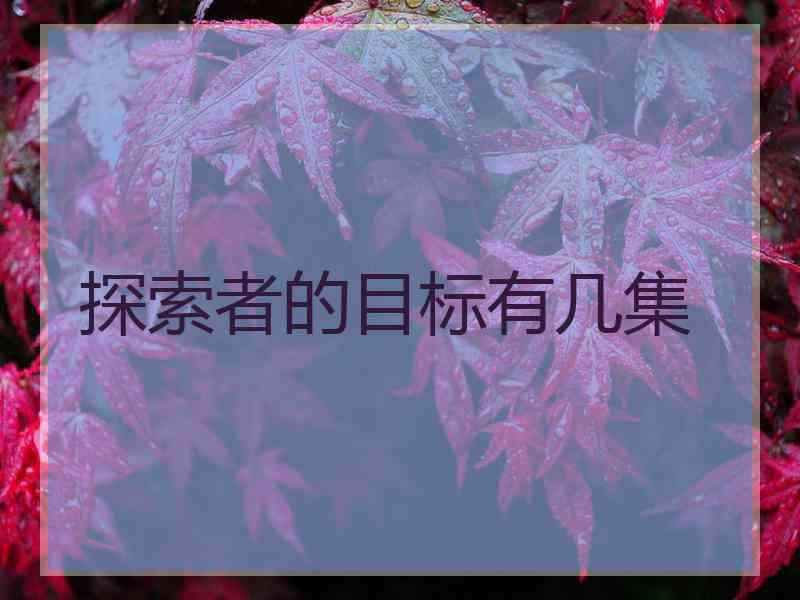 探索者的目标有几集