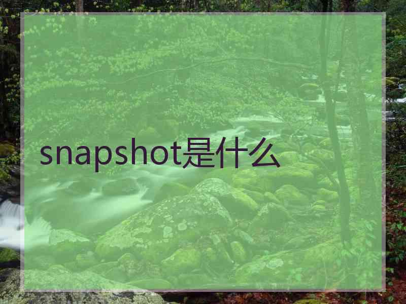 snapshot是什么