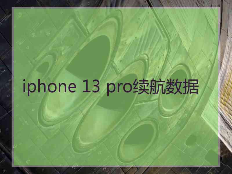 iphone 13 pro续航数据