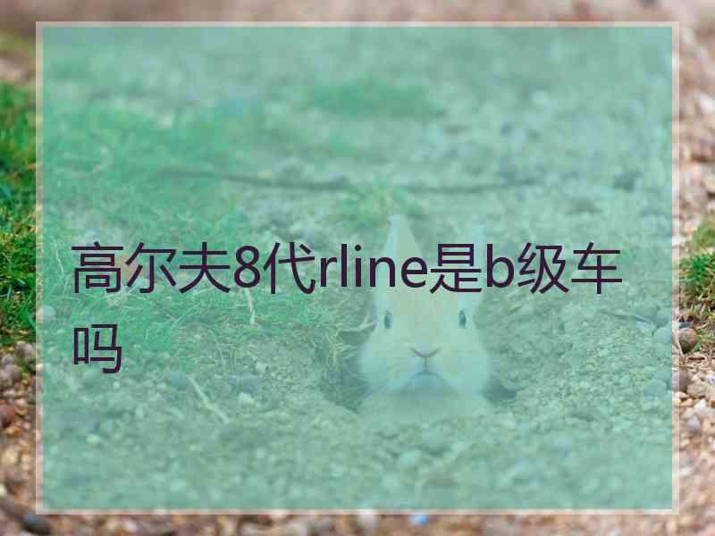 高尔夫8代rline是b级车吗