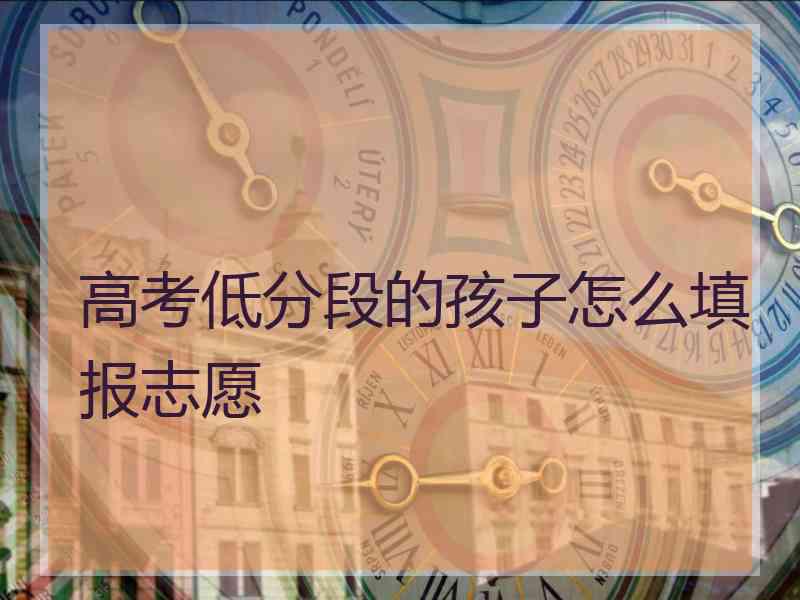 高考低分段的孩子怎么填报志愿