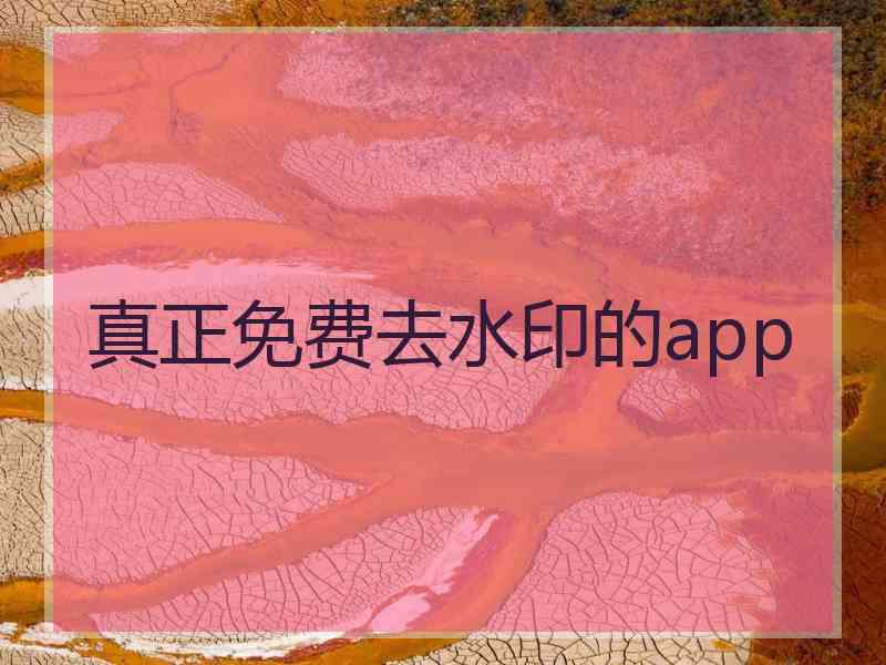 真正免费去水印的app