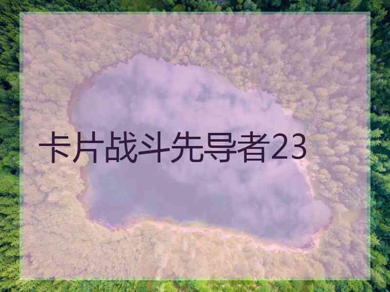 卡片战斗先导者23