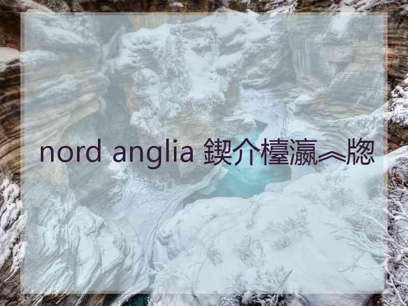 nord anglia 鍥介檯瀛︽牎