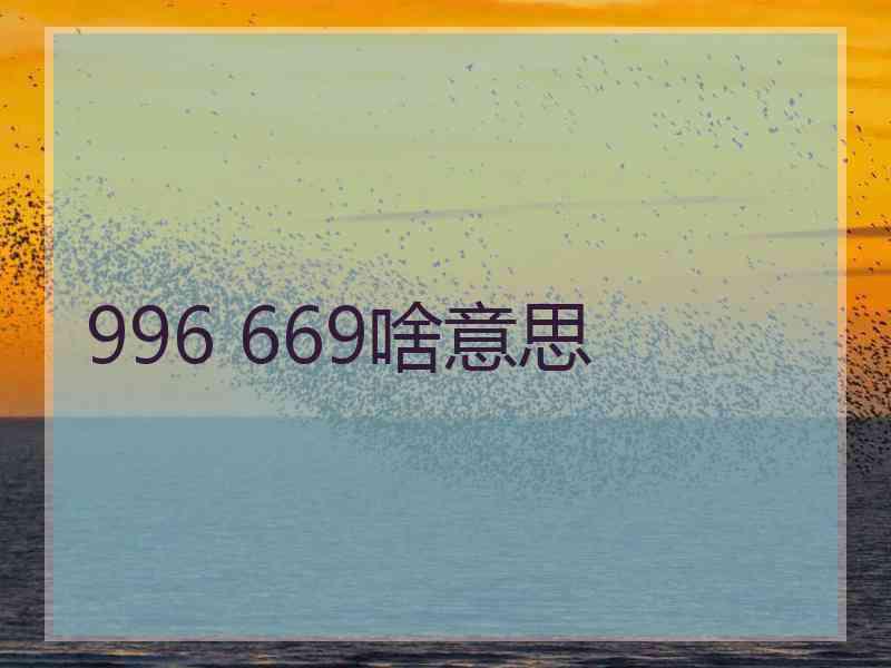 996 669啥意思