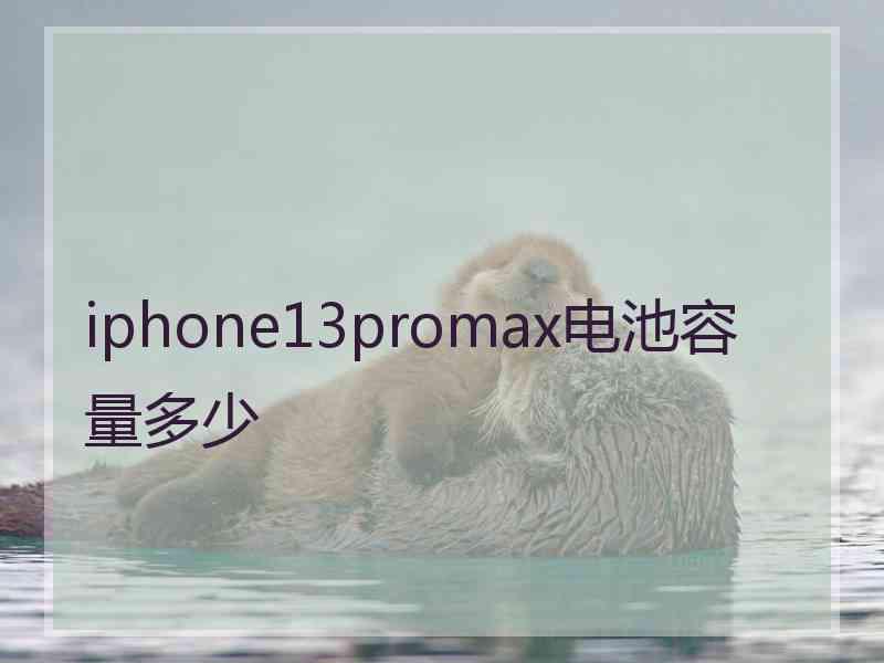 iphone13promax电池容量多少