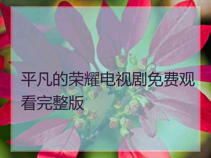 平凡的荣耀电视剧免费观看完整版