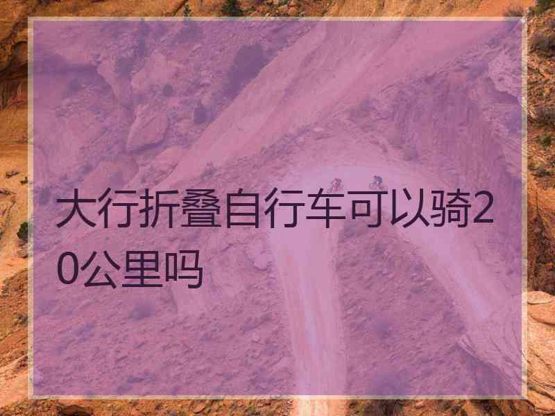 大行折叠自行车可以骑20公里吗